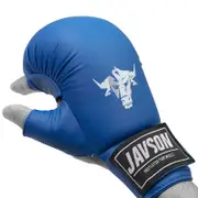 Javson Karate Gloves Blue Mitts - Medium