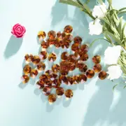 50pcs Amber Crystal Octagon Beads Prisms Beads Drop Chandelier Hanging Part 14mm