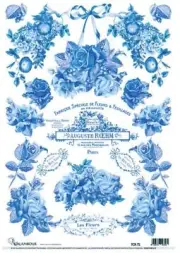 Calambour, Italian Design, Blue and White, Floral, Roses, Garland, TCR 71- A3 PL