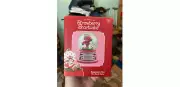 The Wonderful World Of Strawberry Shortcake Snow Globe- Raspberry Tart
