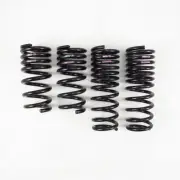 RS-R High Quality TI2000 Down Suspension Springs (N350TD) for 2009+ Nissan GT-R (for: Nissan)