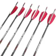 Archery Carbon Arrow Shafts Feather Recurve Bow Traditional Longbow