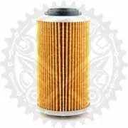 HF556 HiFlo Oil Filter For Can-Am (BRP) Spyder 1330 F3-T SE6