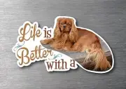 Lifes better with a Cavalier King Charles Ruby sticker water & fade proof