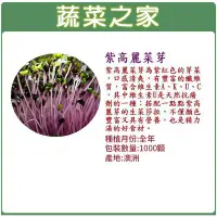 在飛比找Yahoo!奇摩拍賣優惠-【蔬菜之家滿額免運】J12.紫高麗菜芽種子1000顆(芽菜種