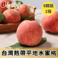 在飛比找momo購物網優惠-【金澤旬鮮屋】6顆x2箱 台灣平地水蜜桃(1kg/箱_熱帶桃