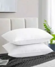 Unikome Goose Down and Feather Medium firm density 2-Pack Pillow, Queen - White