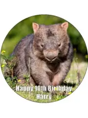 Wombat Cake Topper Edible Icing Australian Animal Cake Decoration (3 Sizes)