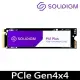 Solidigm P41 Plus系列 1TB M.2 2280 PCI-E Gen4 固態硬碟