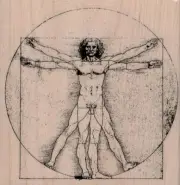 Vitruvian Man-Large 3 1/2 x 3 1/2" Rubber Stamp, People Stamp, Man Stamp