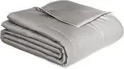 THXSILK Mulberry Silk Blanket, 100% Pure Mulberry Silk Filling Comforter, Queen Size Mulberry Silk Blanket for Bed Camping Sofa, Soft Lightweight Cozy Silk Blanket for All-Season, Grey
