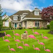 You've Been Flocked Happy 70th Birhday- Flamingoes 13 piece set, Flat Flamingos