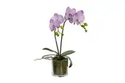 Glamorous Fusion Lavender Orchid Artificial Fake Plant Decorative Arrangement 40cm In Cylinder Glass