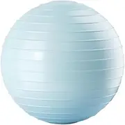 Yoga Ball Balance Balls with Air Pump, Supports 800KG, Extra Thick Gym Ball Exercise Balls for Stability Workout Training, 65cm, Blue
