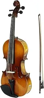 Daseeme 4/4 Full Size Acoustic EQ Electric Violin Fiddle Kit Solid Wood Spruce Face d with Bow Hard Case Shoulder Rest o Cable Extra Strings Clean Cloth Sunset