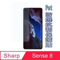 在飛比找PChome24h購物優惠-[Pet SHARP AQUOS sense8 5G 防爆抗