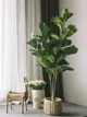 室內客廳裝飾落地家居小擺件綠植北歐風格仿真假大植物盆景琴葉榕