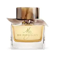 在飛比找Yahoo!奇摩拍賣優惠-便宜生活館【香水】BURBERRY My Burberry 