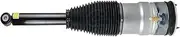 Rear Air Suspension Strut Compatible With Tesla Model S - Fits 2011 2012 2013 2014 2015 - OE 600632-00-C, 606353-04-A, 6006352-00-C(REAR LEFT)