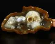 10.1" Agate Carved Crystal Skull & Leopard, Crystal Healing