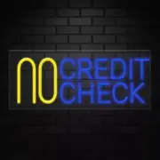No Credit Check Sign for Business Displays | LED Flex Neon | 32"W x 13"H x 1"D