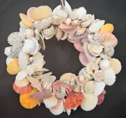 STUNNING Sea Shell Seashell Wreath 9" Local Hawaii Artist Maui Sunrise Shells A+