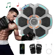 Catzon Smart Music Boxing Machine with Gloves Easy Installation for Home-Grey