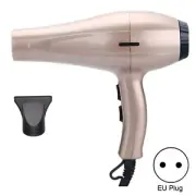 Blow Dryer Thermostatic Negative Ion Constant Temperature Hair Diffuser Hair