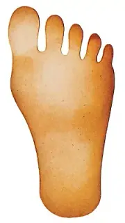 Sizzix Bigz Footprint die #A10333 Retail $22.99 SO FUN, Cuts Fabric!