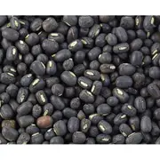 BLACK GRAM BEAN / Urad dal / Black Lentil seeds