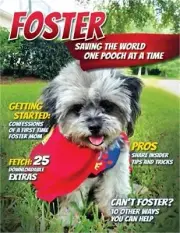 Foster: Saving the World One Pooch at a Time or 10 Other Ways You Can Help! (Pap