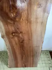 One Piece Hawaiian Crepe Myrtle~19 1/4" x 10 1/4" x 1/3" (#435)
