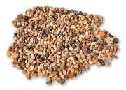 Mix Rock Stones: Natural Indoor and Outdoor Decor, Mixed Color Pebbles