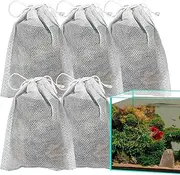 Betta Water Conditioner - Shrimp Tank Accessories Catappa Leaves | Natural Aquarium Almond Leaves | Almond Fish Tank Leaves for Creating Natural Habitat and Improves Immunity