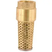 PROPLUS 140014 Brass Foot Valve, 1"