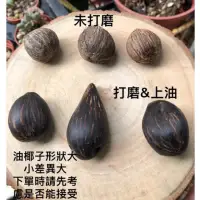 在飛比找蝦皮購物優惠-油椰子/棕櫚科種子/外型差異大