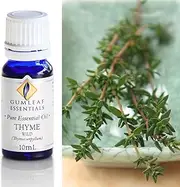Gumleaf Essentials Thyme Wild Essential Oil - 10ml, Cruelty Free & Vegan, 100% Pure & Natural