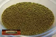 M00346-FS MOREZMORE 110LS METALLIC GOLD 1mm Microbeads Micro Beads
