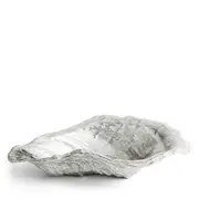 Michael Aram Ocean Reef Oyster Shell Bowl