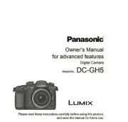 Panasonic Lumix DC-GH5 Digital Camera OWNER'S MANUAL (347 page)
