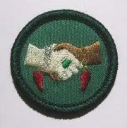 Girl Scout Junior MERGING ANYONE? BADGE Realignment Council Own Patch Handshake