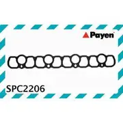 Payen Spark Plug Seal - SPC2206