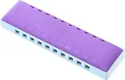 GALPADA 1Set Blues Harmonica Tones Beginner Harmonica with Storage Box for Durable Construction for Music Lovers and Learning Enhance Lung