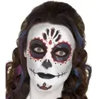 Day Of The Dead Make Up Kit With Face Paints Adult Mixed Colors