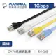 (現貨) 寶利威爾 CAT6扁線 50公分 高速網路線 RJ45 福祿克認證 POLYWELL