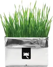 Vetreska® Cat Grass Australian Soilless Seeds Wheat Grass