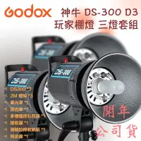 在飛比找樂天市場購物網優惠-【eYe攝影】GODOX 神牛 DS 300 D3 三燈套組