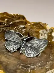 555 gr. Petrified Wood from Madagascar sterling silver butterfly paperweight