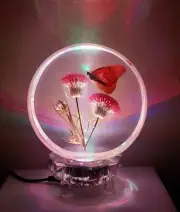 Solid Glass Thistle Butterfly Display Laser Crystal Changing Light Base