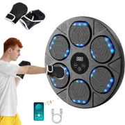 Catzon Bluetooth Music Boxing Machine Wall Mounted with LED for Home-Black